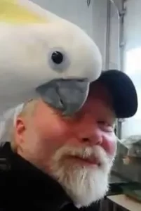 Mike Kiger-Host of Bird Talk Radio Kansas City with Cosmo a Sulphur Crested Cockatoo at the Wings of Love Aviary.